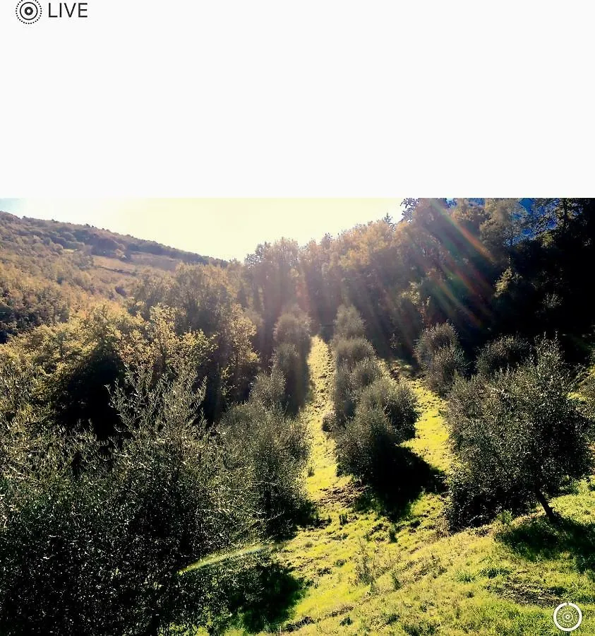 Strada Di Tregole Cottage Castellina in Chianti Holiday home