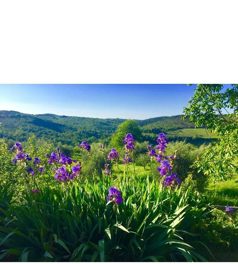 Strada Di Tregole Cottage Castellina in Chianti